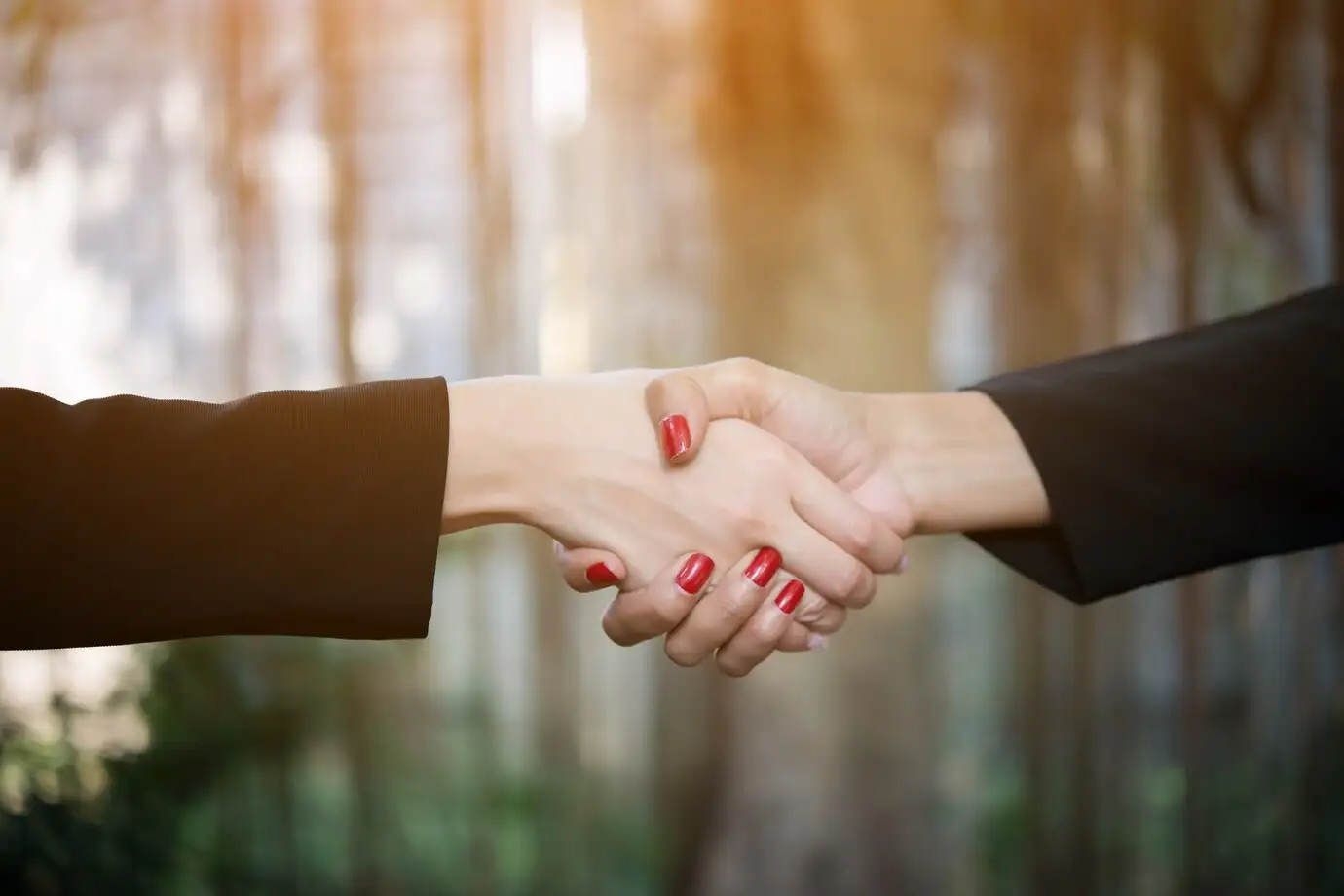 Collaborative law team meeting for Houston Heights divorce